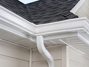 Gutter Services